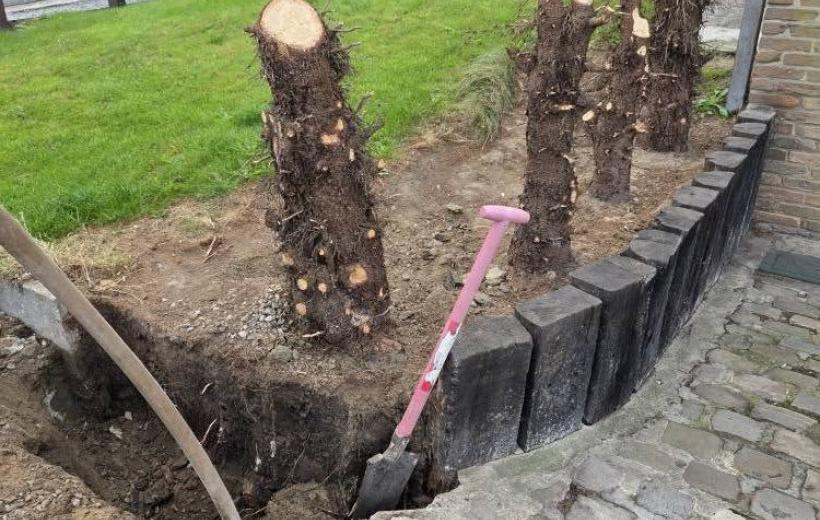 Réalisation - Terrassement